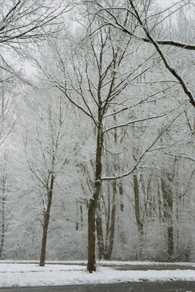 20040101 01 van aalstlaan